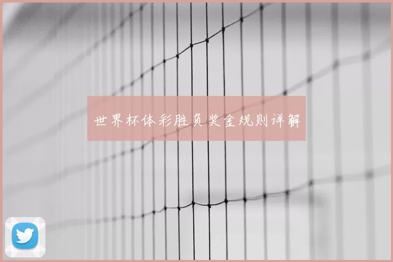 世界杯体彩胜负奖金规则详解