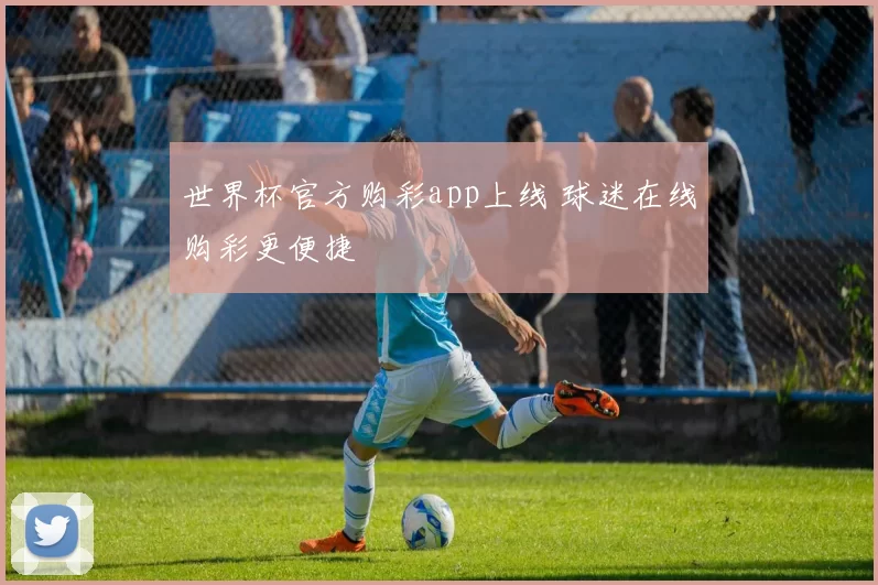世界杯官方购彩app上线 球迷在线购彩更便捷