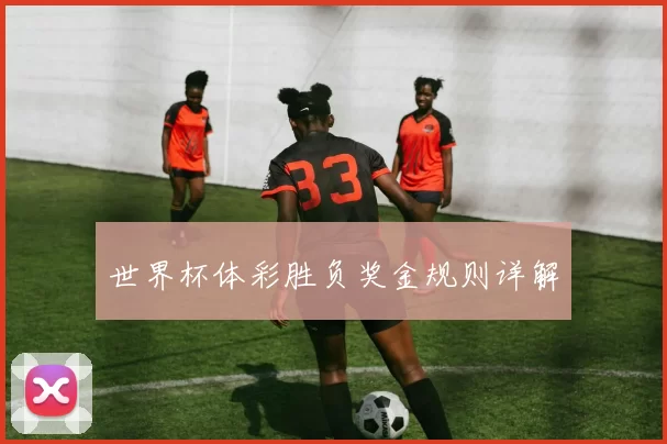 世界杯体彩胜负奖金规则详解