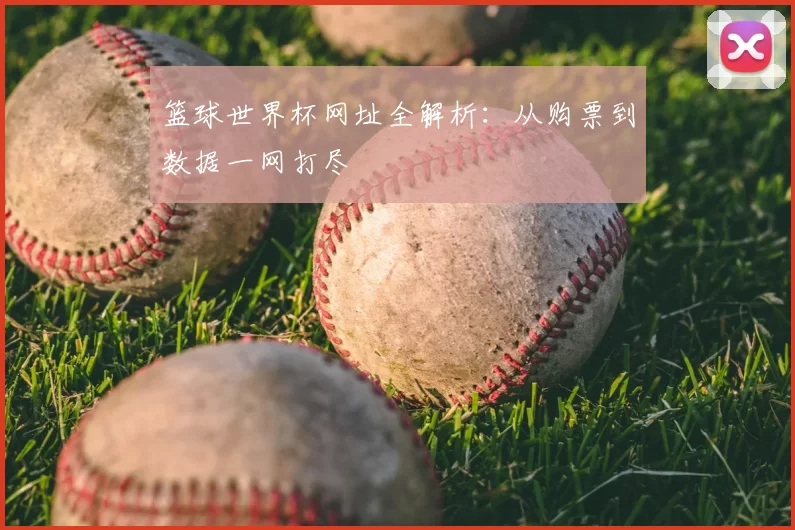篮球世界杯网址全解析:从购票到数据一网打尽