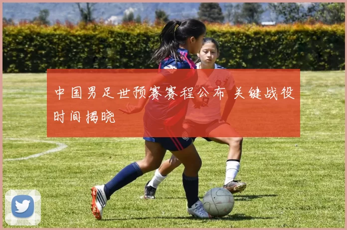 中国男足世预赛赛程公布 关键战役时间揭晓
