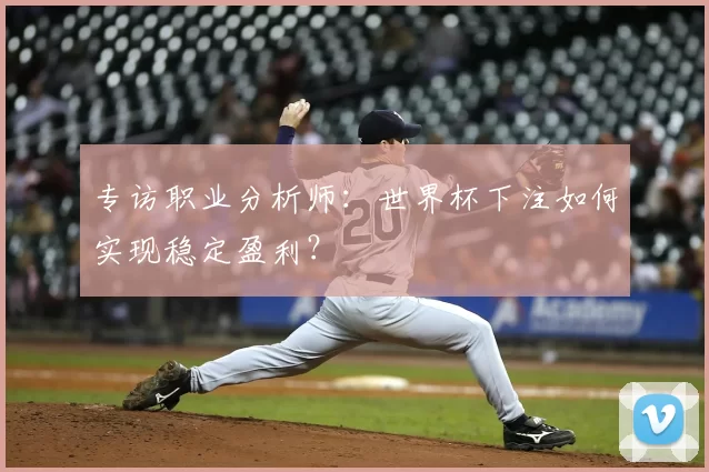 专访职业分析师:世界杯下注如何实现稳定盈利?