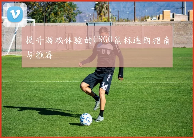 提升游戏体验的CSGO鼠标选购指南与推荐
