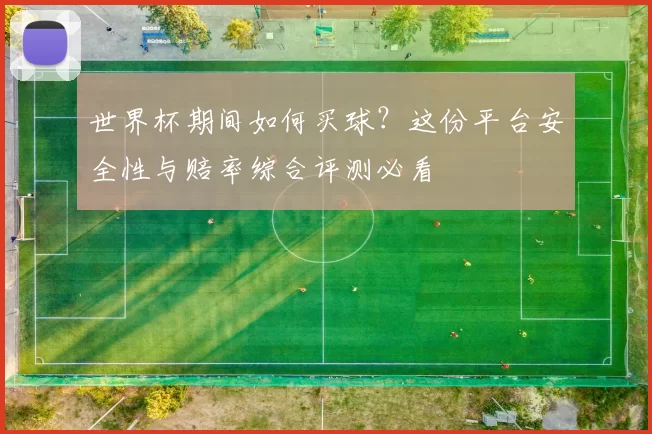 世界杯期间如何买球?这份平台安全性与赔率综合评测必看