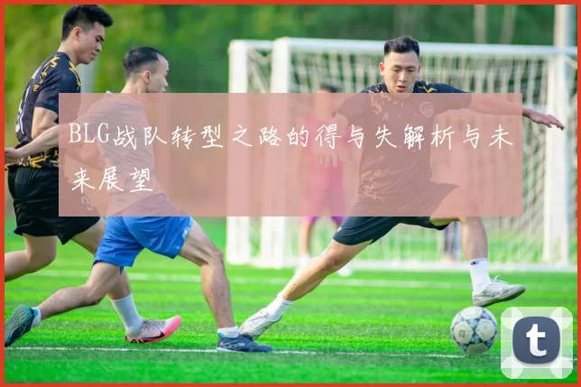 BLG战队转型之路的得与失解析与未来展望