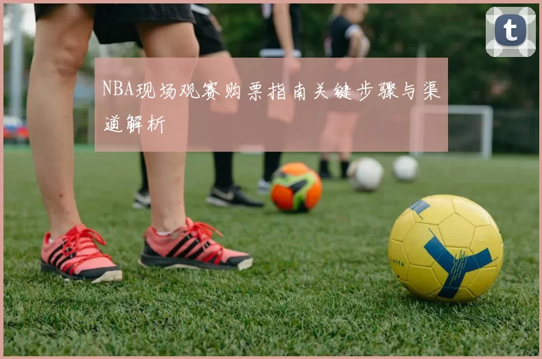 NBA现场观赛购票指南关键步骤与渠道解析