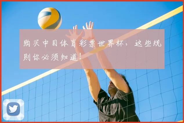 购买中目体育彩票世界杯，这些规则你必须知道！