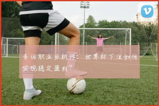 专访职业分析师：世界杯下注如何实现稳定盈利？