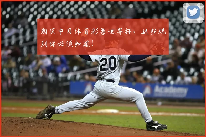 购买中目体育彩票世界杯,这些规则你必须知道!