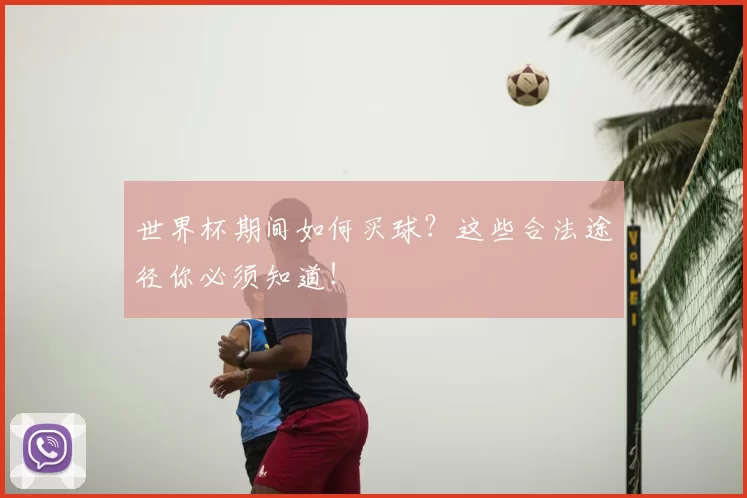 世界杯期间如何买球?这些合法途径你必须知道!