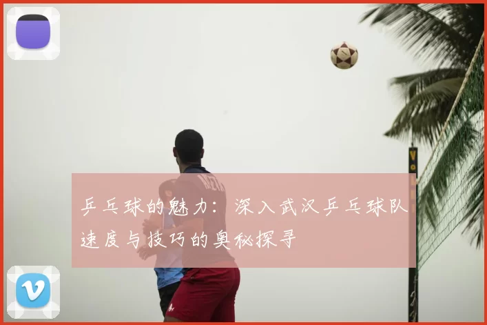 乒乓球的魅力:深入武汉乒乓球队速度与技巧的奥秘探寻